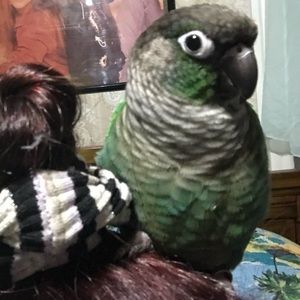 Meet your Posher, Tammy